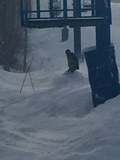 Olw s Head des conditions impeccables