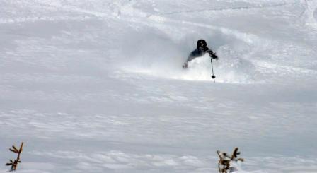 Duff dans la belle grosse poudreuse